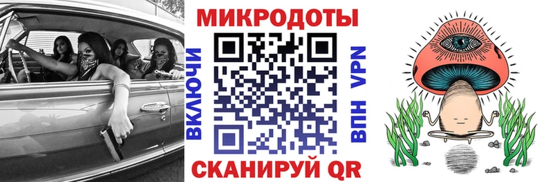 Галлюциногенные грибы Psilocybe  МЕГА как зайти  Чудово 